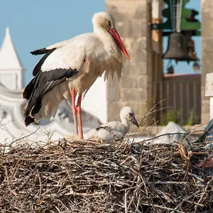 Hostel Stork, Olhao